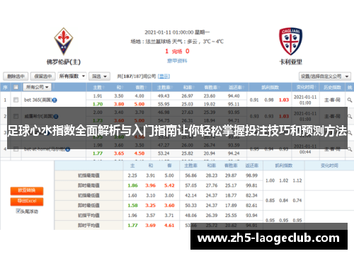 足球心水指数全面解析与入门指南让你轻松掌握投注技巧和预测方法