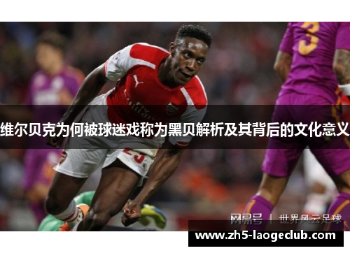 维尔贝克为何被球迷戏称为黑贝解析及其背后的文化意义