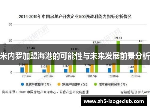 米内罗加盟海港的可能性与未来发展前景分析