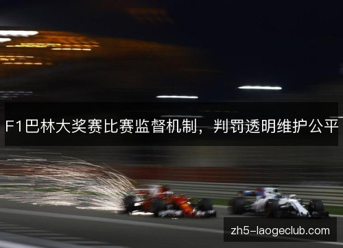 F1巴林大奖赛比赛监督机制，判罚透明维护公平